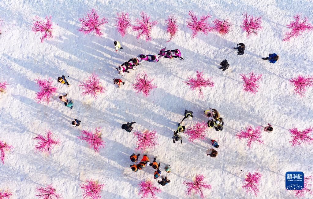 宁夏银川：在华留学生享雪趣迎北京冬奥会